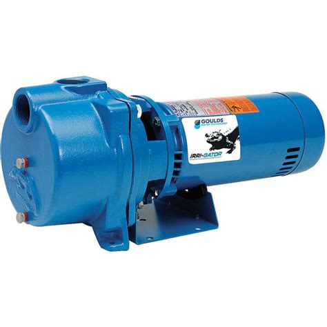 2 hp water pump